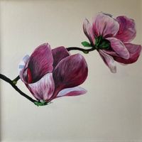Magnolien, acrylic on canvas, frame, 50x50 cm, Preis auf Anfrage (5)